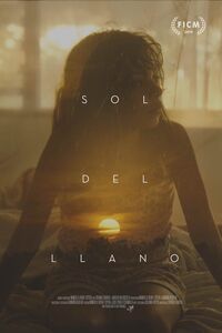 Sol del llano